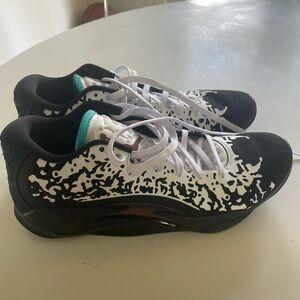 Nike Jordan Zions size 10.5 Men’s